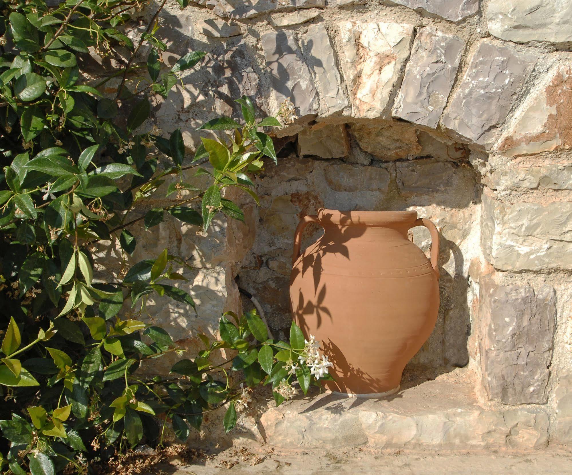 Pantonia Apartments Agia Pelagia  エクステリア 写真